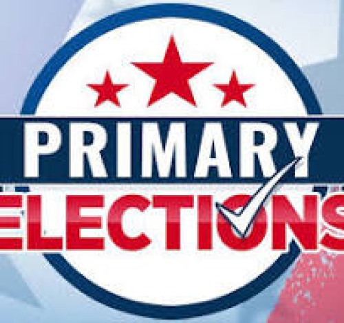 Picking a party for the 2024 Primary Election